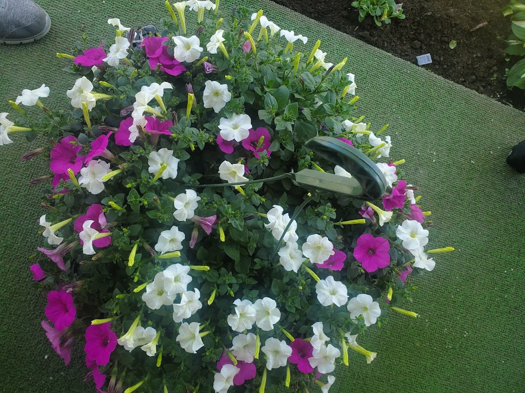 Engels Landscaping Center | 15810 Lockbourne Eastern Rd, Ashville, OH 43103, USA | Phone: (740) 983-9110