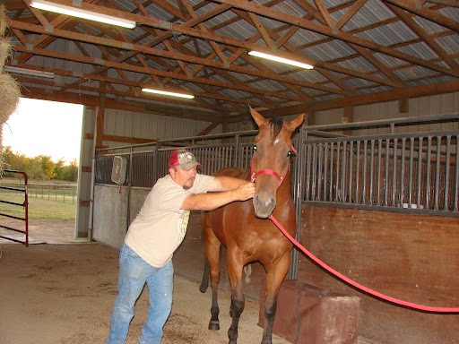 Postrach Family & Equine Chiropractic | 118 S 5th St, Collinsville, OK 74021, USA | Phone: (918) 637-9687