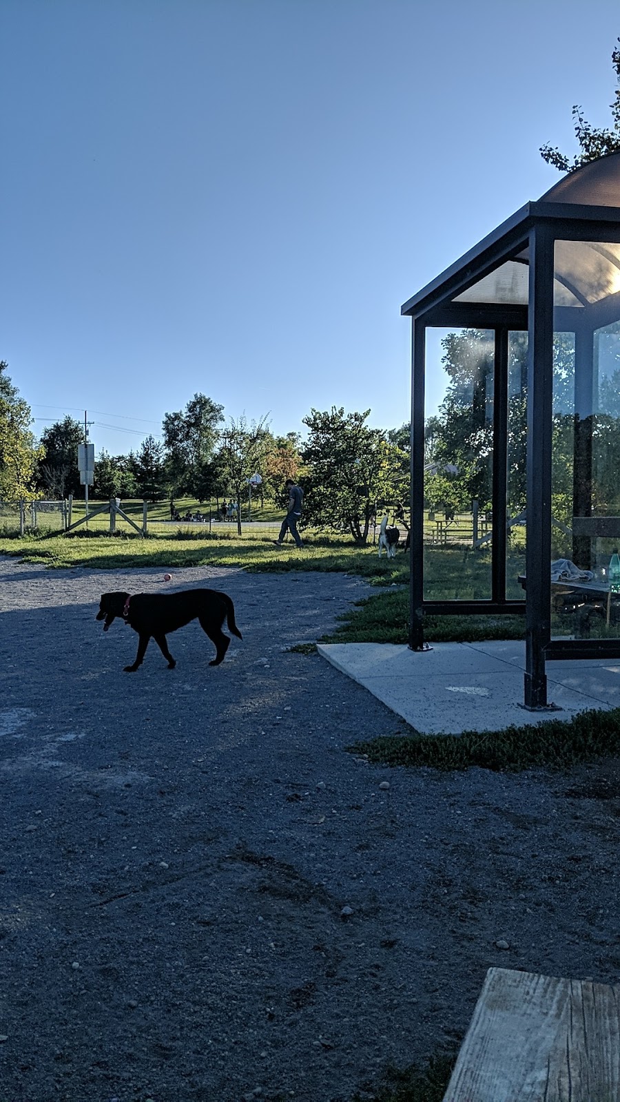 Olson Dog Park | Off-leash Dog Play Area, 1551 Dhu Varren Rd, Ann Arbor, MI 48105, USA | Phone: (734) 794-6230