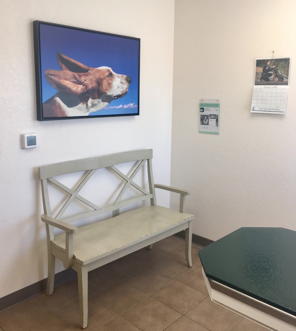 Animal Clinic In Sussex | N64 W24280 Main St, Sussex, WI 53089, USA | Phone: (262) 246-5820