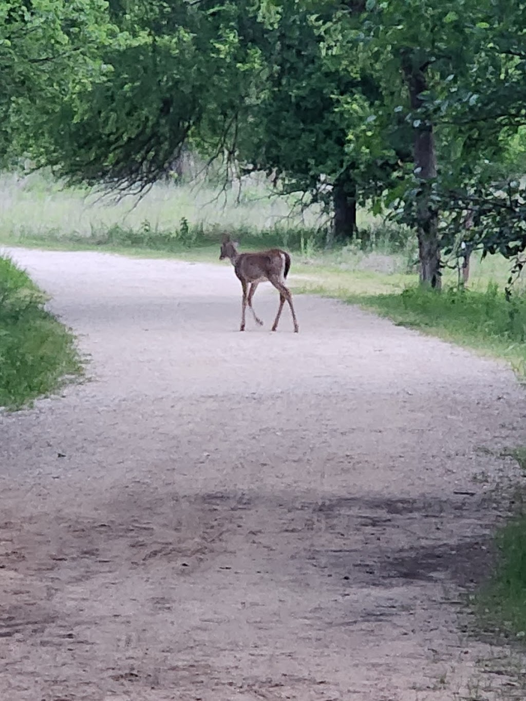 Ray Roberts Lake State Park Isle du Bois | 100 P W 4137, Pilot Point, TX 76258, USA | Phone: (940) 686-2148