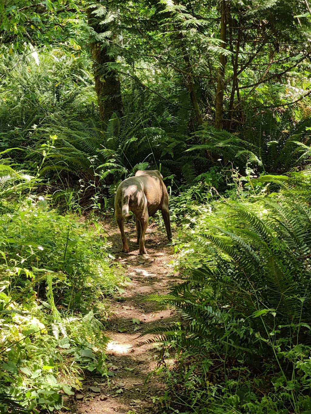 Molalla River Recreation Area | s 97038, 36287 S Dickey Prairie Rd, Molalla, OR 97038, USA | Phone: (503) 375-5646