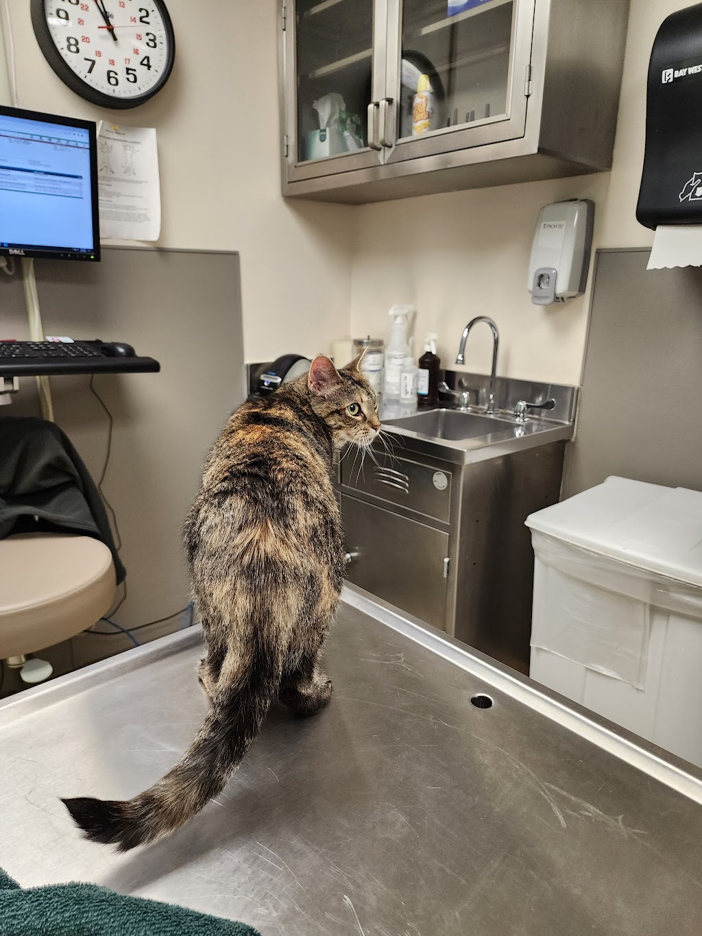 Fort Meade Veterinary Treatment Facility | 2018 20th St, Fort Meade, MD 20755, USA | Phone: (301) 677-1300