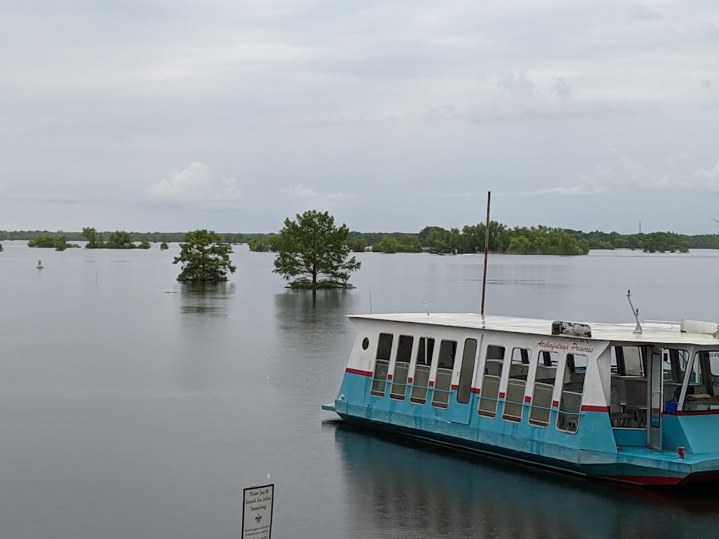 McGees Louisiana Swamp & Airboat Tours | 1337 Henderson Levee Rd, Henderson, LA 70517, USA | Phone: (337) 228-2384