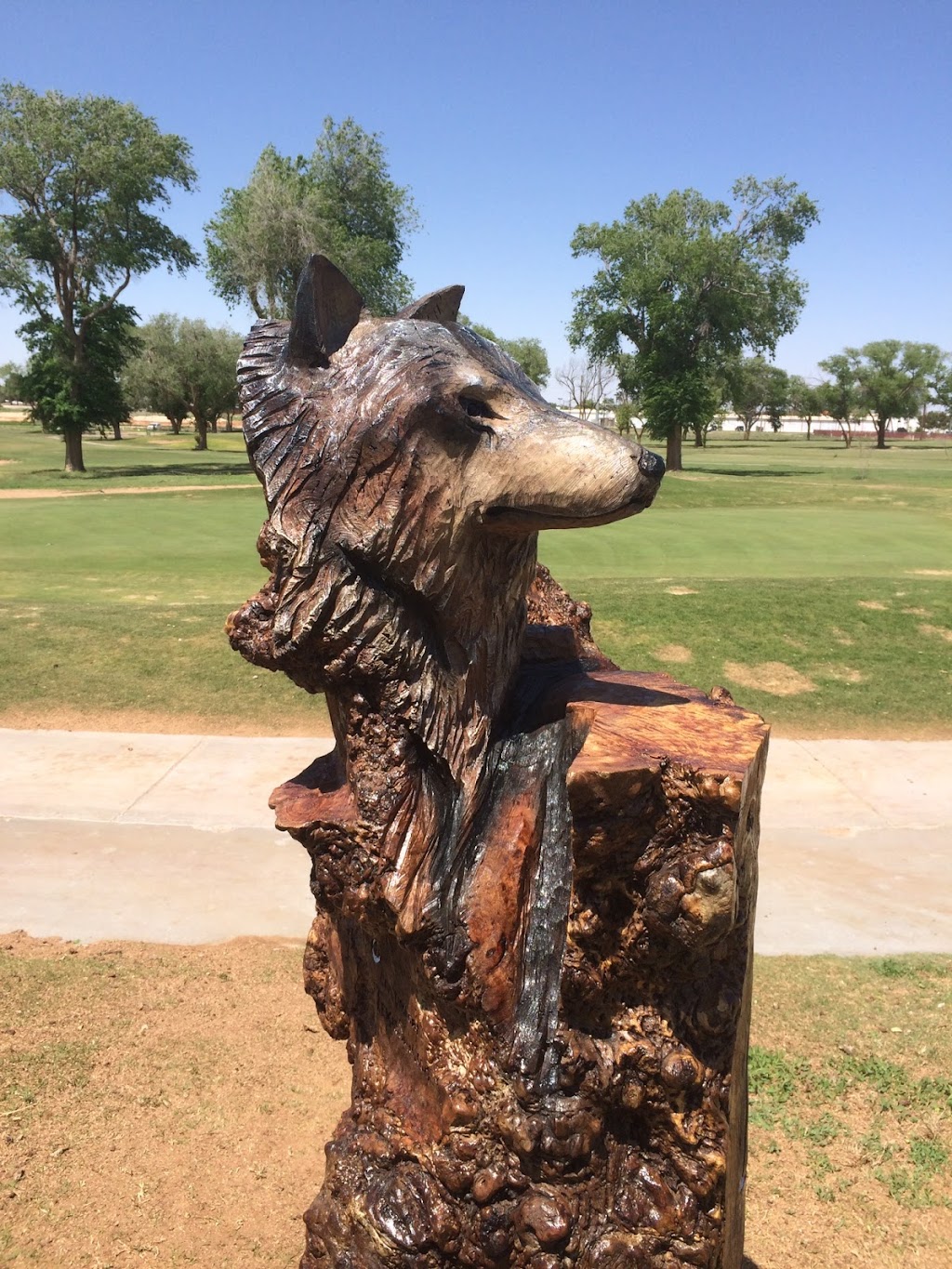 Bearly Making It Chainsaw Carving | 3511 US-385, Whitharral, TX 79380, USA | Phone: (806) 778-9353