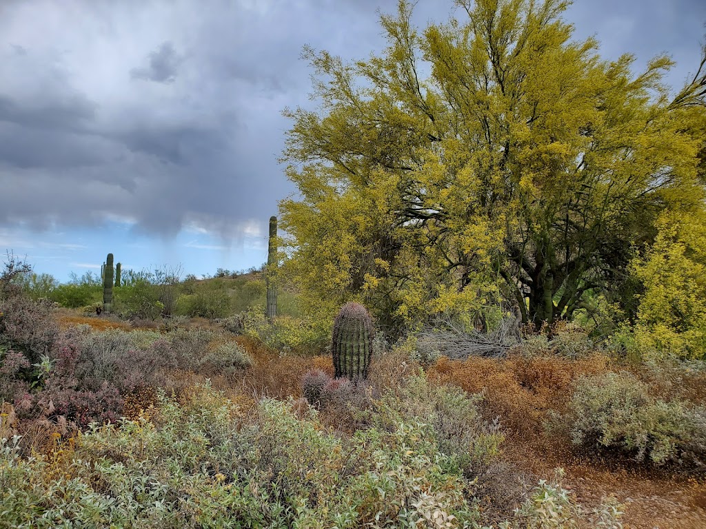 Cave Creek Regional Park Campgrounds | E Olivine Ave, Cave Creek, AZ 85331, USA | Phone: (623) 465-0431