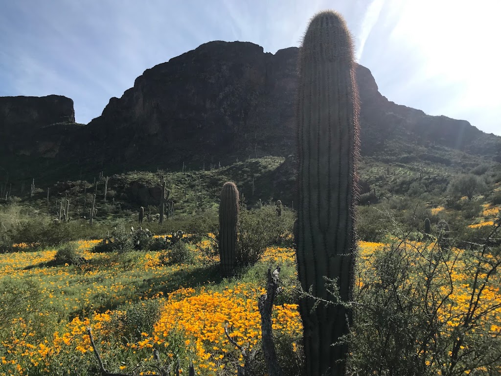 Sunset Vista Trail Head | Sunset Vista Trail, Picacho, AZ 85141, USA | Phone: (877) 697-2757