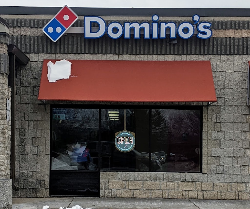 Dominos Pizza | 519 Cottonwood Ave, Hartland, WI 53029 | Phone: (262) 367-5444