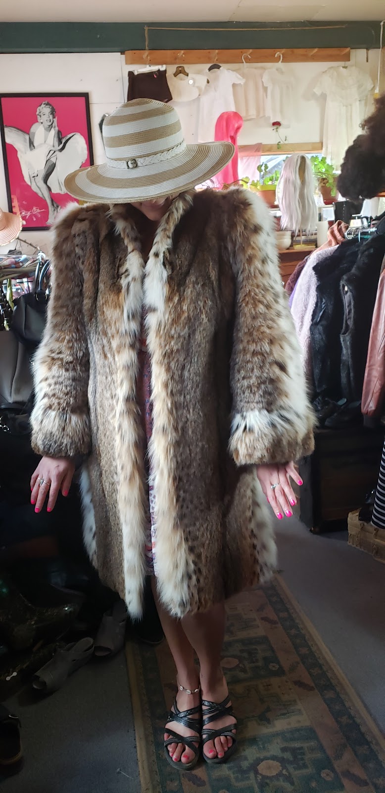 Unique Boutique-Vivianes Vintage & Vogue | 10925 W River St, Truckee, CA 96161, USA | Phone: (530) 582-8484