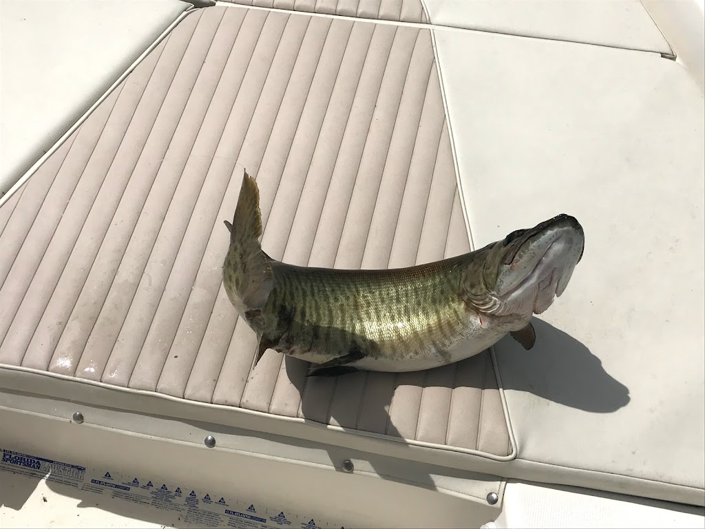 Chautauqua Fishing Charters | 9 Merrill Ave, Chautauqua, NY 14722, USA | Phone: (571) 213-2542