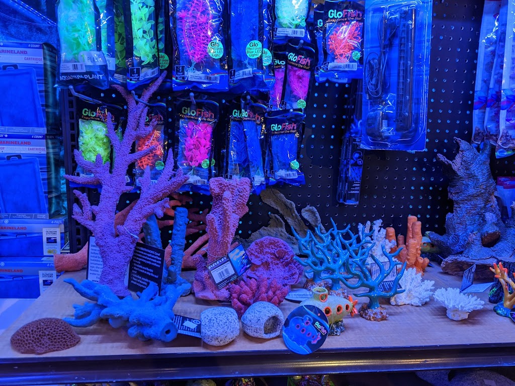 Age of Aquariums | 2642 Cherry Ave, Signal Hill, CA 90755, USA | Phone: (562) 438-6252