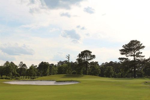 Honey Bee Golf Club | 2500 S Independence Blvd, Virginia Beach, VA 23456, USA | Phone: (757) 471-2768