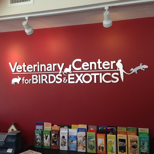 Veterinary Center for Birds & Exotics | 709 Bedford Rd, Bedford Hills, NY 10507, USA | Phone: (914) 864-1414