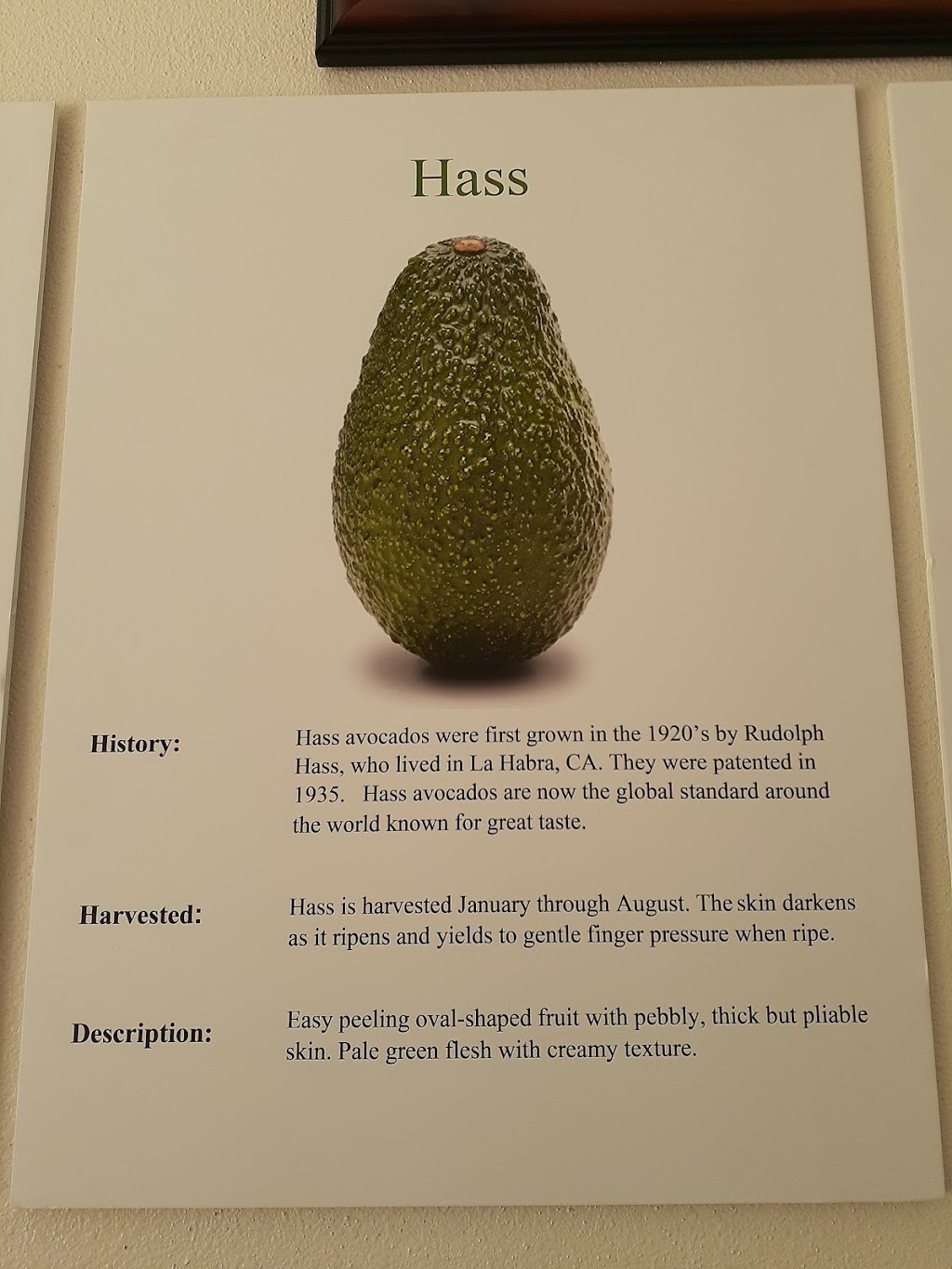 Rancho Vasquez Inc | 1703 Ranch Rd, Azusa, CA 91702, USA | Phone: (626) 334-4340