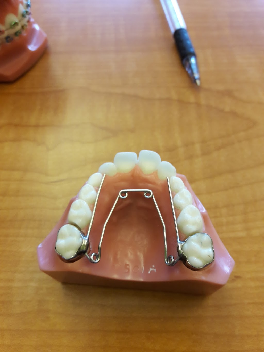 Gorman & Bunch Orthodontics | 617 N River Dr, Marion, IN 46952, USA | Phone: (765) 662-0018