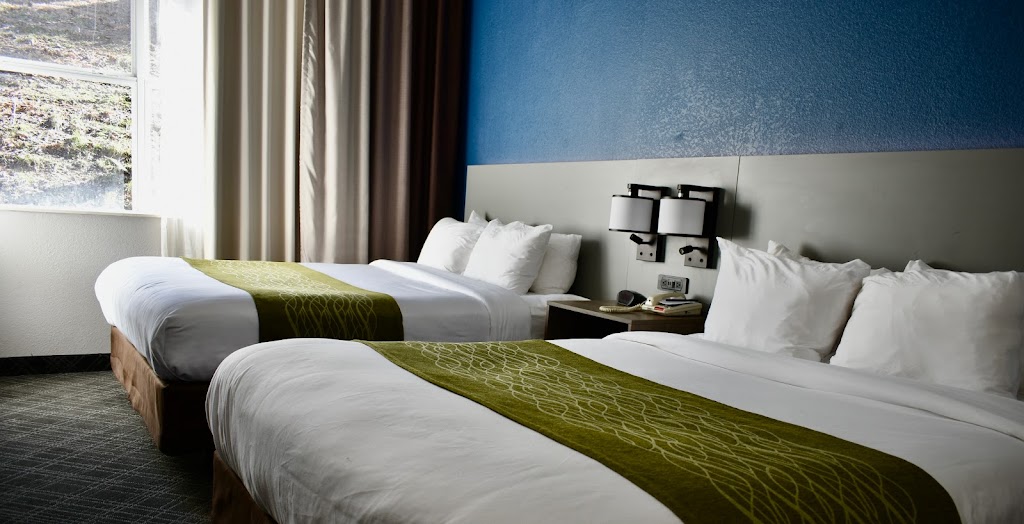 Comfort Inn & Suites Cartersville - Emerson Lake Point | 43 GA-20 Spur, Cartersville, GA 30121, USA | Phone: (770) 386-5888