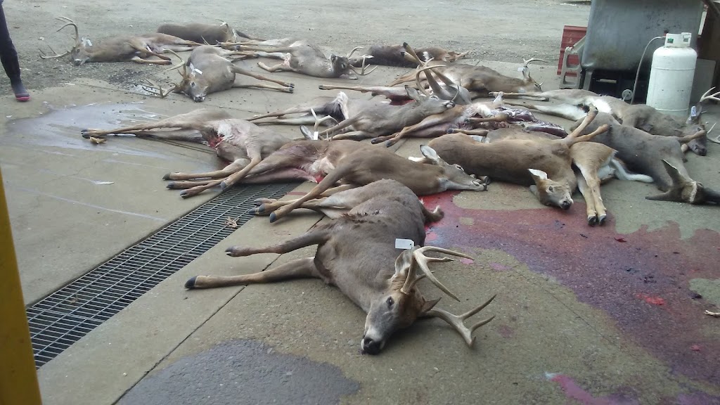 Vaughts Deer Processing | 7143 TN-100, Bon Aqua, TN 37025, USA | Phone: (931) 996-4121