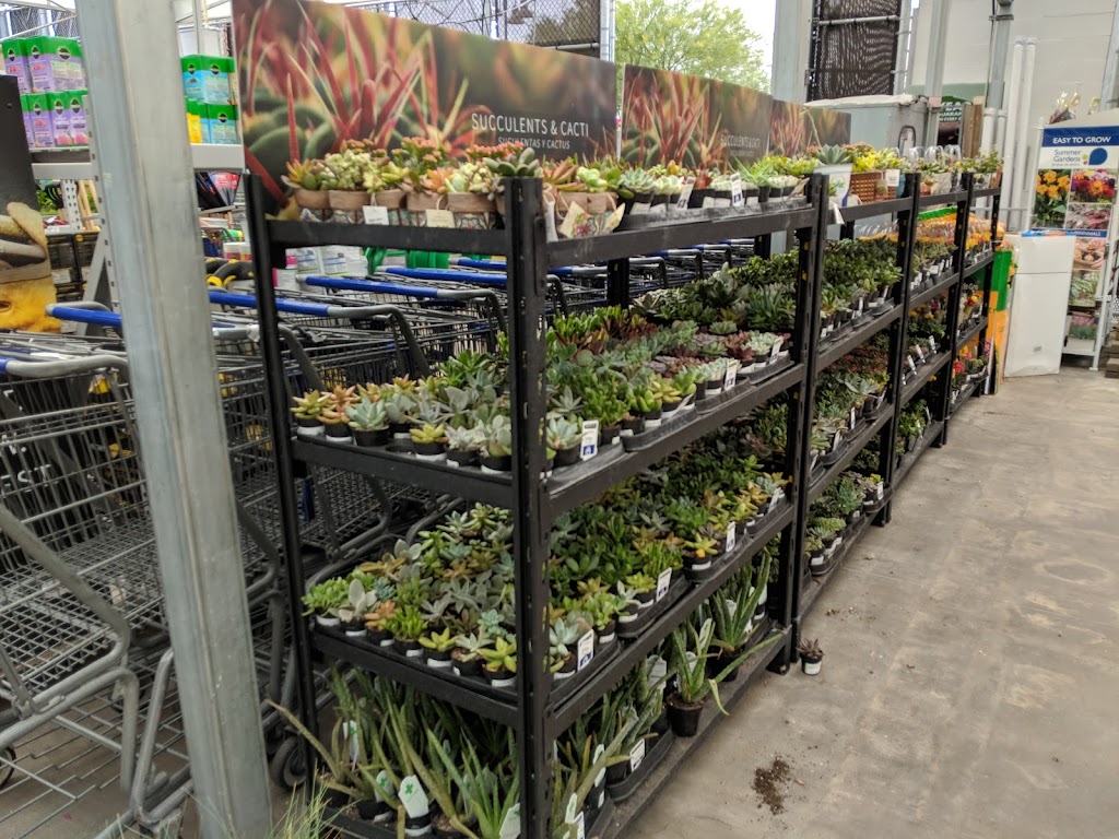 Lowes Garden Center | 25311 N Lake Pleasant Pkwy, Peoria, AZ 85383 | Phone: (623) 537-2640