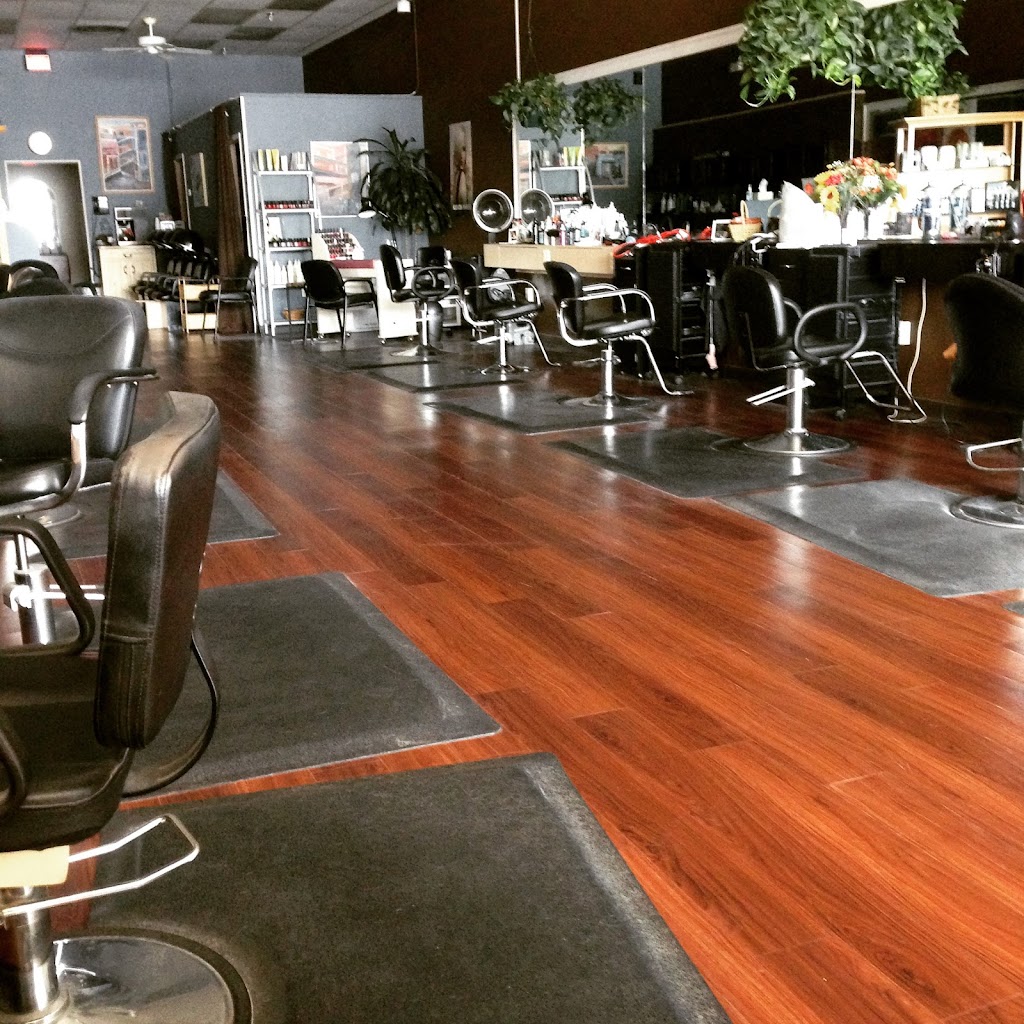 Shear Dimensions Salon | 15 Marshall Hill Rd, West Milford, NJ 07480, USA | Phone: (973) 728-3434