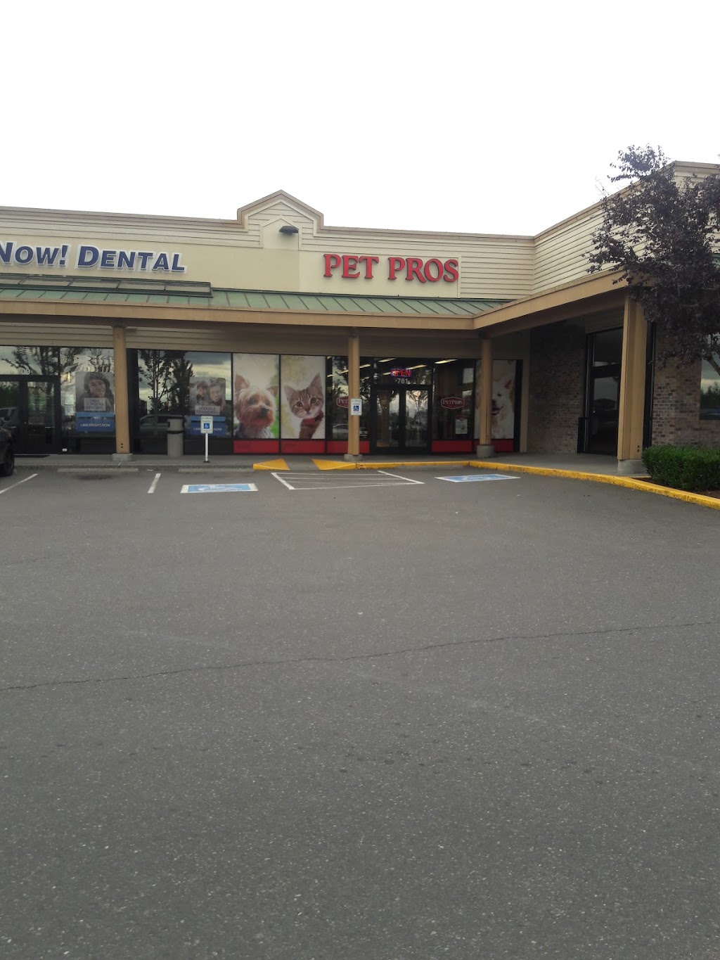 Pet Pros | 701 State Route 9 NE, Suite B, Lake Stevens, WA 98258, USA | Phone: (425) 334-1112