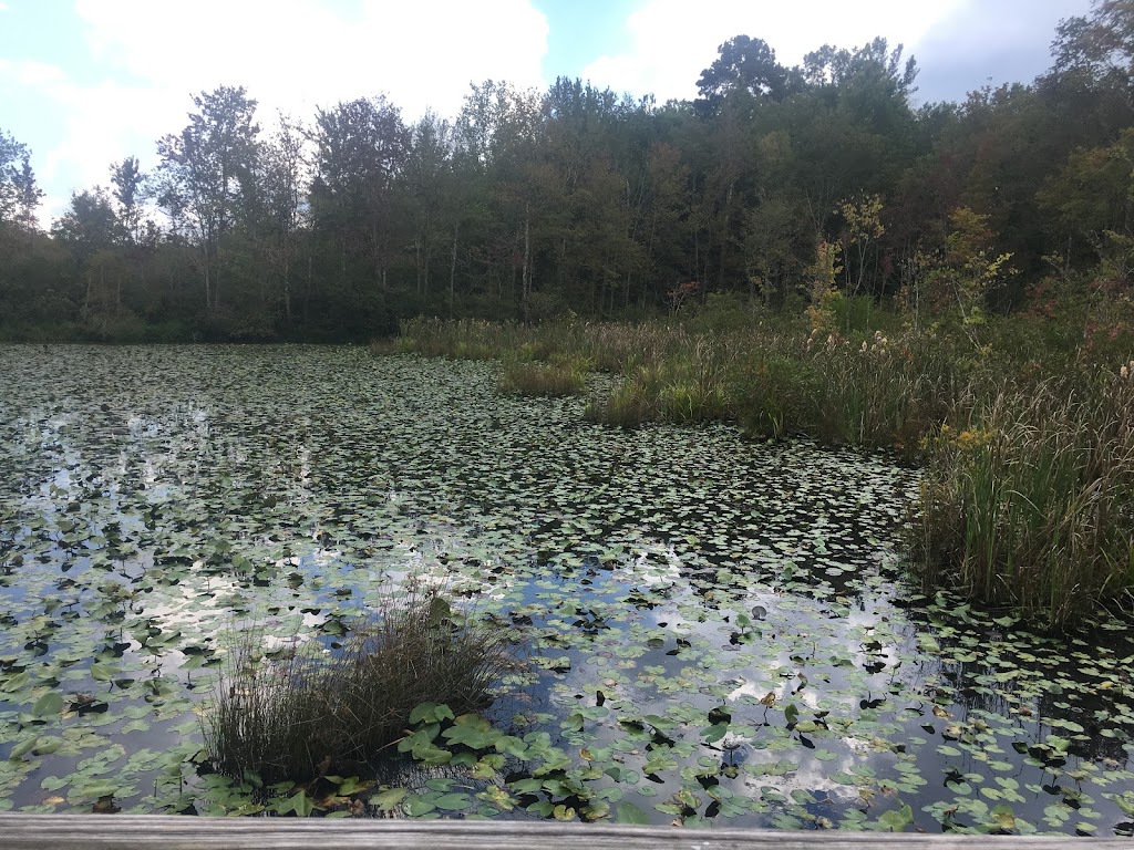 Nesmith Preserve - Starrs Mill Environmental Trail & Boardwalk | 101 Panther Path, Fayetteville, GA 30215, USA | Phone: (770) 486-7774