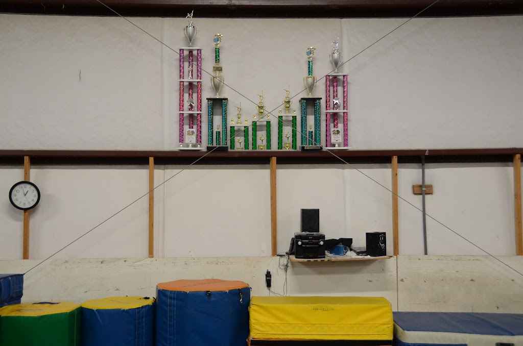 Fleming Island Gymnastics | 7155 US-17, Fleming Island, FL 32003, USA | Phone: (904) 284-9797