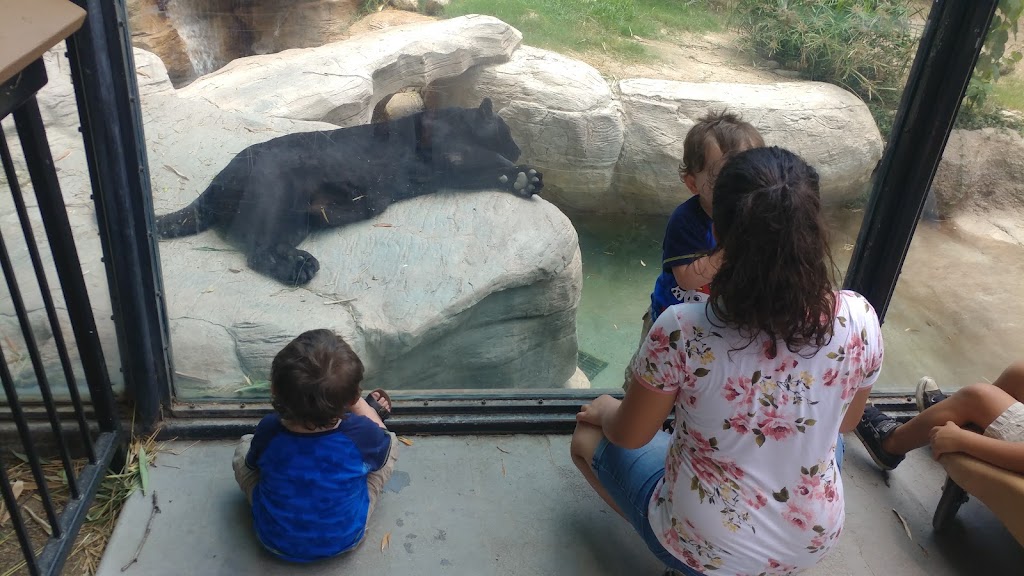 Reid Park Zoological Society | 1030 S Randolph Way, Tucson, AZ 85716, USA | Phone: (520) 791-3204 Reid Park Zoological Society | 1030 S Randolph Way, Tucson, AZ 85716, USA | Phone: (520) 791-3204