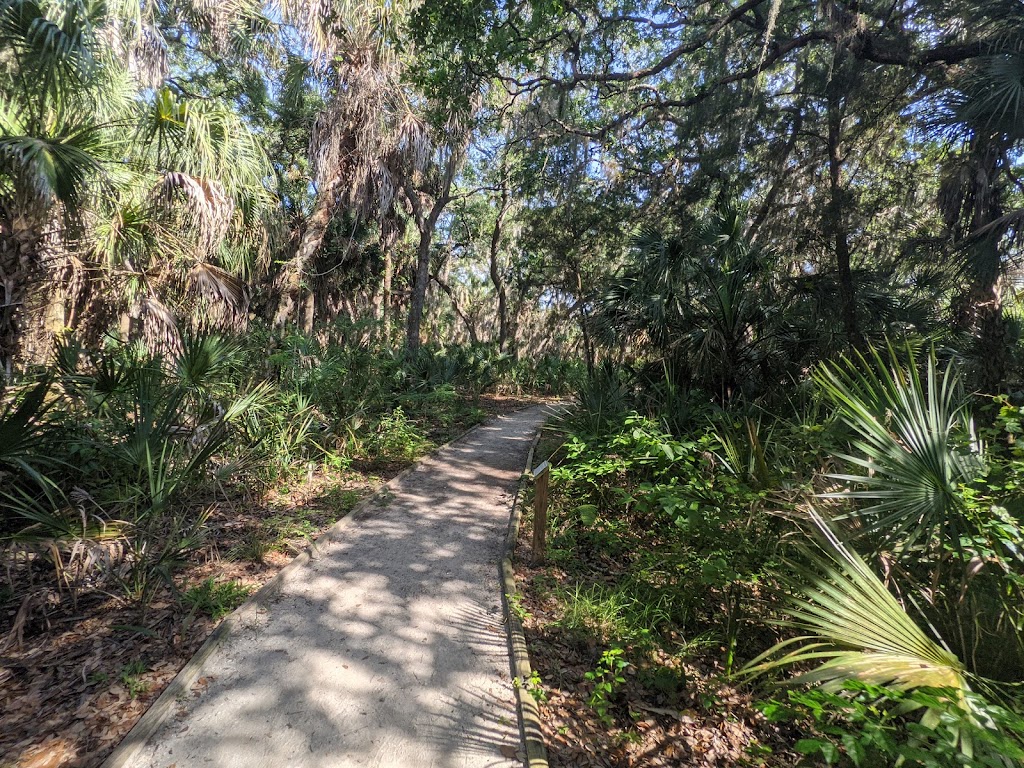 Oscar Scherer State Park | 1843 S Tamiami Trail, Osprey, FL 34229, USA | Phone: (941) 483-5956