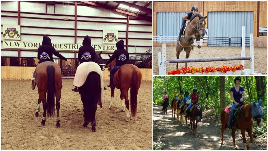 New York Equestrian Center | 633 Eagle Ave, West Hempstead, NY 11552 | Phone: (516) 486-9673
