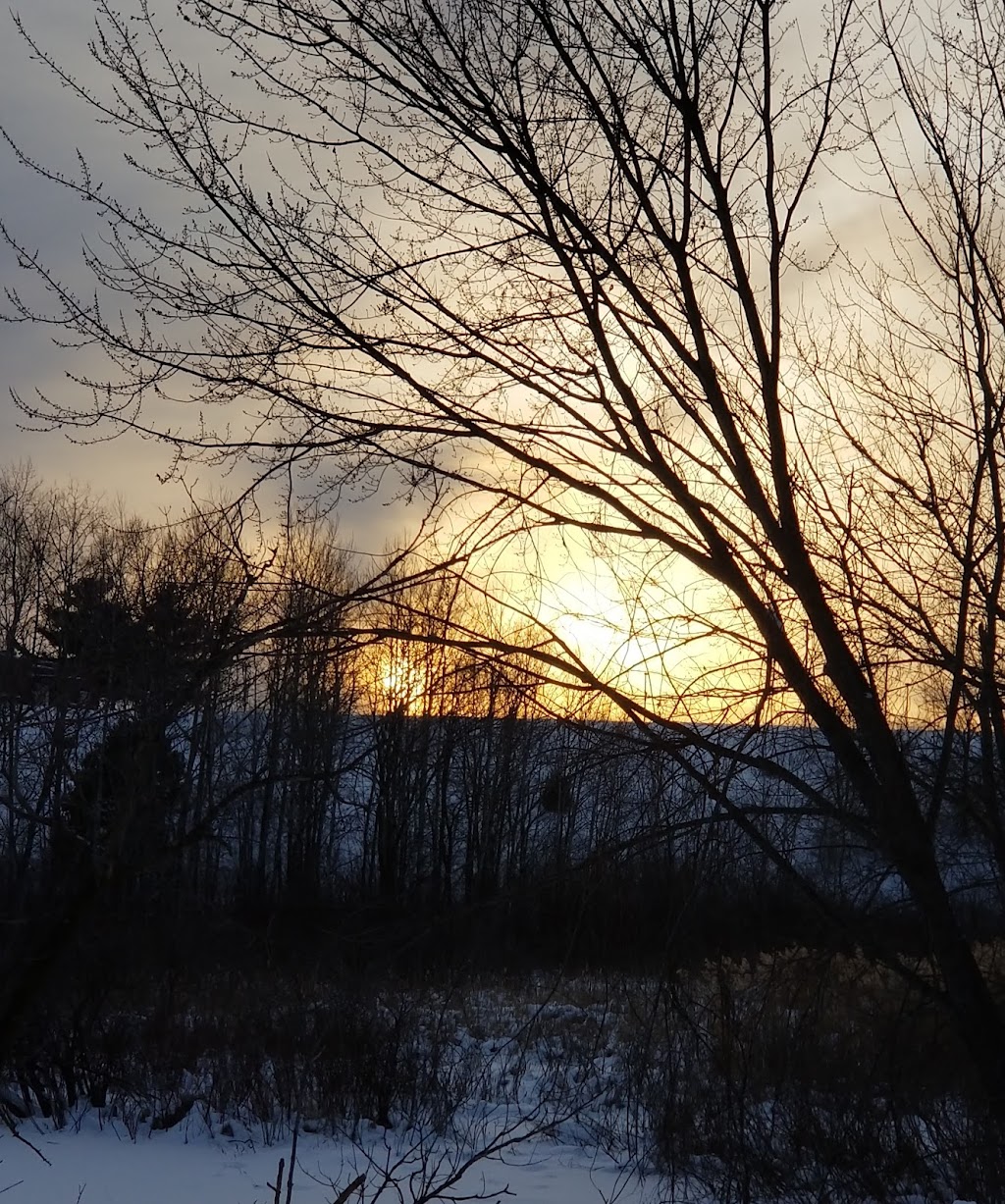 Spirit River Nature Area | 1055 2nd Ave SW, Cambridge, MN 55008, USA | Phone: (763) 689-1800