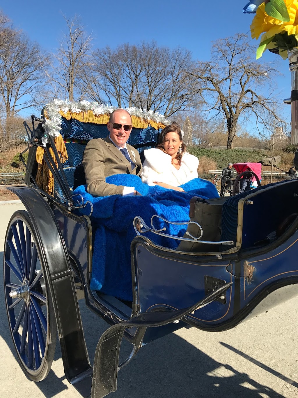 NYC Horse Carriage Rides™ EST.1979 | 7th Ave & West 59th Street, Central Park S, New York, NY 10019, USA | Phone: (516) 606-6212