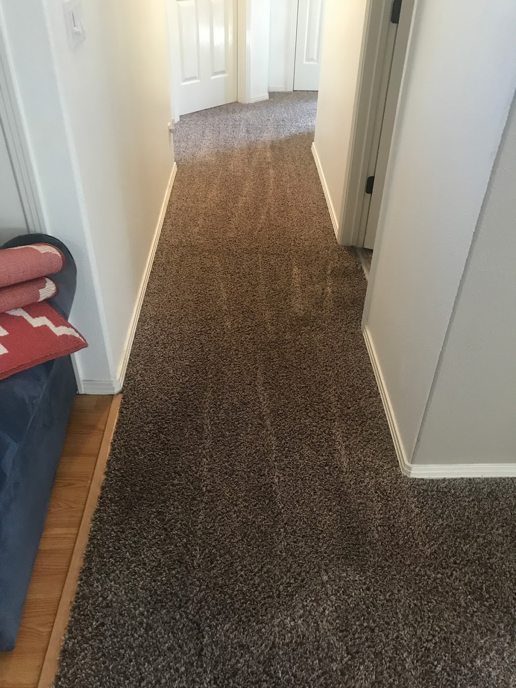 Northwest Steamers | 10498 W Carolina Dr, Boise, ID 83709, USA | Phone: (208) 591-6300