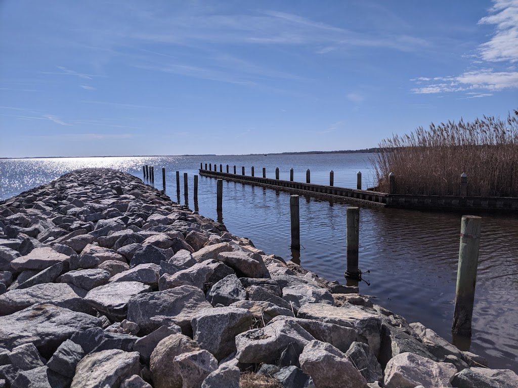 Princess Anne Wildlife Management Area | 1300 Back Bay Landing Rd, Virginia Beach, VA 23457, USA | Phone: (804) 829-6580