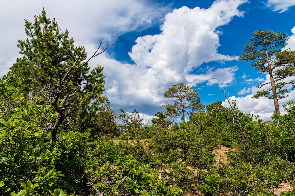 Fourth of July Trailhead | Torreen Tajique Loop Rd, Estancia, NM 87016 | Phone: (505) 346-3900