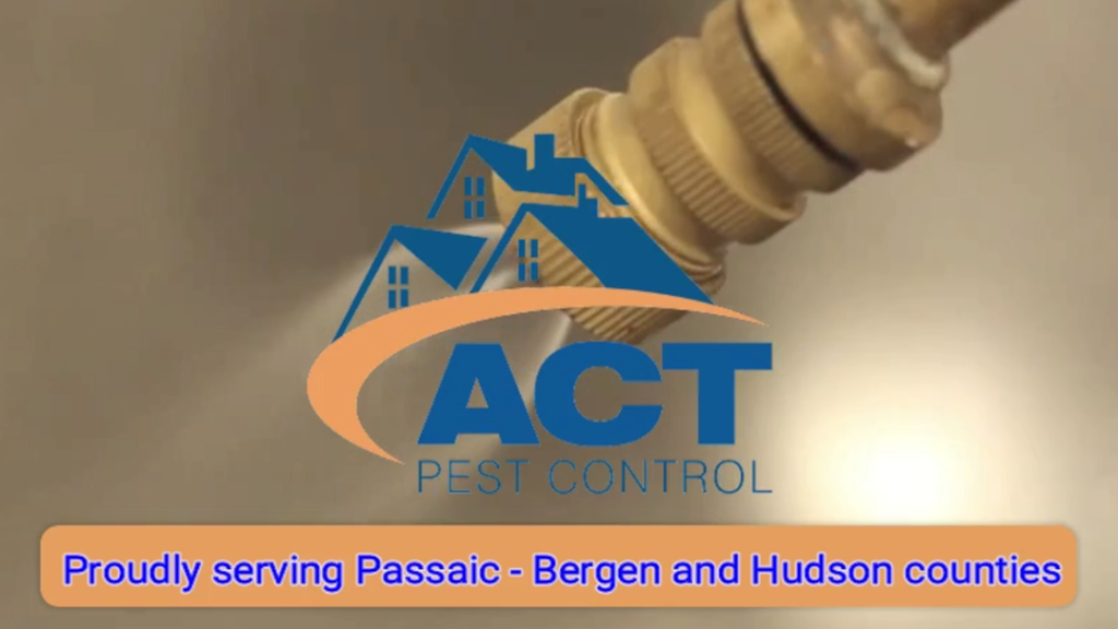 Act Pest Control Corp | 106 Newark Pompton Turnpike, Little Falls, NJ 07424, USA | Phone: (973) 246-9941