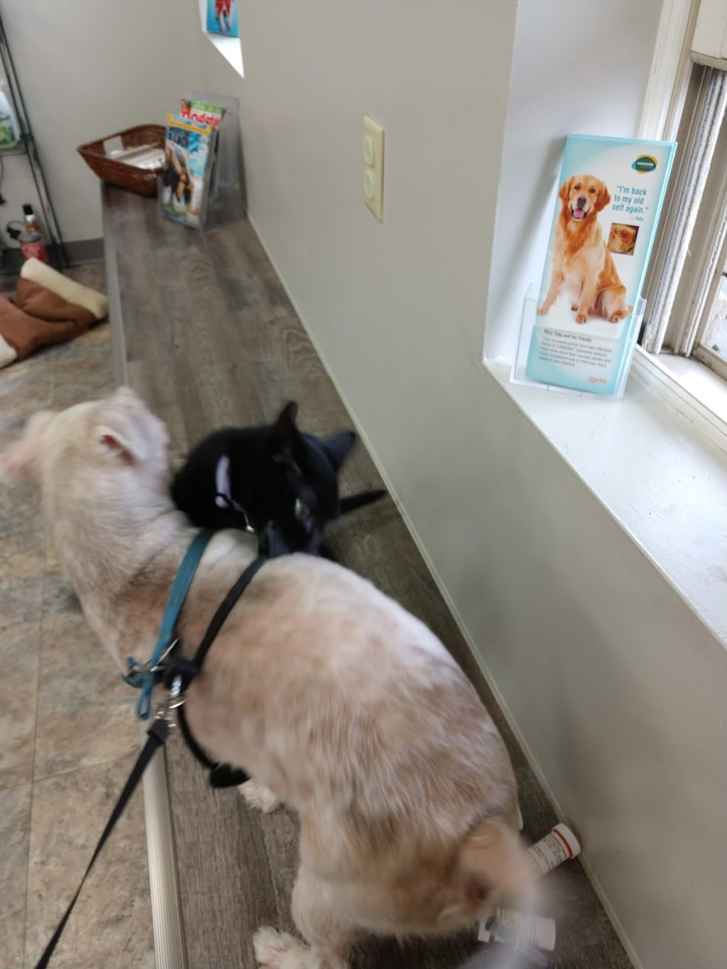 ROBERT D. GANO, DVM | 45 Orchard Rd, Wilmington, OH 45177, USA | Phone: (937) 383-0008