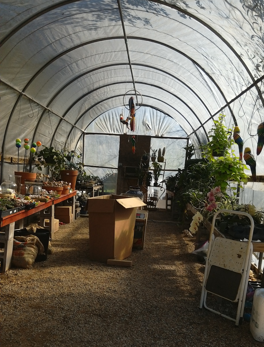 Bloomers Garden Center | 507 State Hwy 95, Elgin, TX 78621, USA | Phone: (512) 281-2020