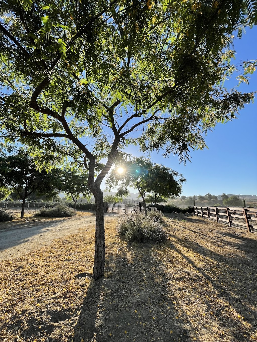 Stokes Equestrian | 40095 Green Meadow Rd, Temecula, CA 92592, USA | Phone: (949) 510-2848