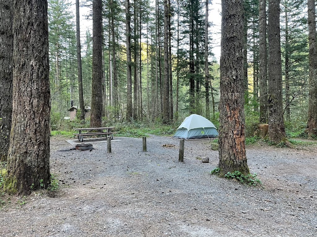 Dougan Creek Campground | 82 Dougan Falls Ln, Washougal, WA 98671, USA | Phone: (360) 577-2025