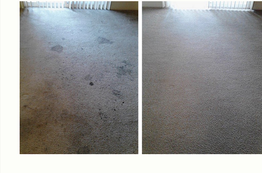 Rays Carpet Cleaning Service | 25764 Nancy St, Crete, IL 60417, USA | Phone: (708) 362-2013