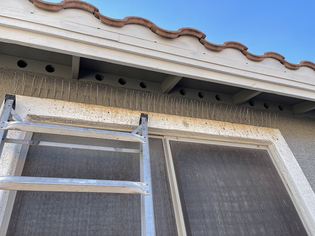 Hopper Pest Control LLC | 13801 S Tuthill Rd, Buckeye, AZ 85326, USA | Phone: (602) 908-6765