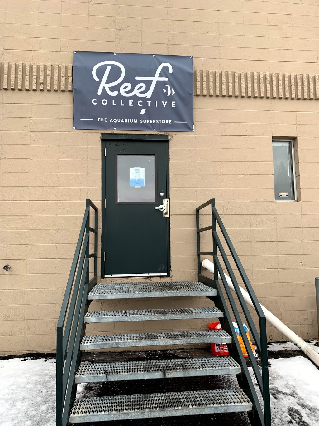 Reef Collective | 1459 1st Ave NW, New Brighton, MN 55112, USA | Phone: (612) 326-0557