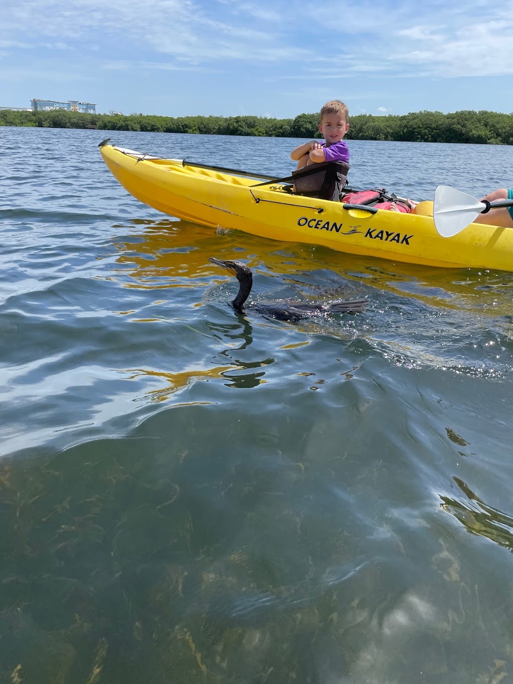 AMI Paddleboard & Kayak Adventures | 12378 Manatee Ave W, Bradenton, FL 34209, USA | Phone: (941) 896-6422