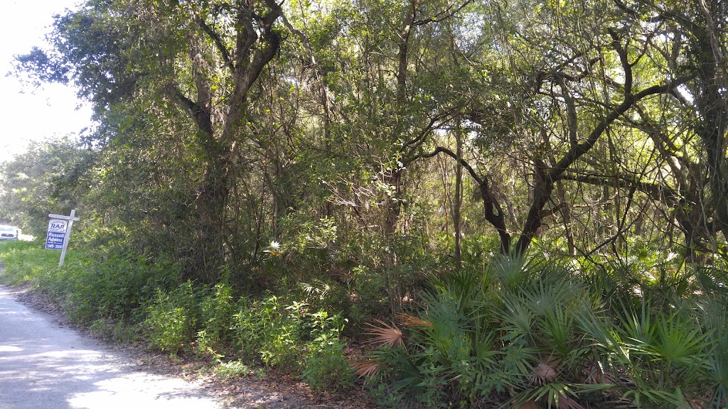 Jumping Gully Preserve | Spring Hill, FL 34610, USA | Phone: (727) 847-8140