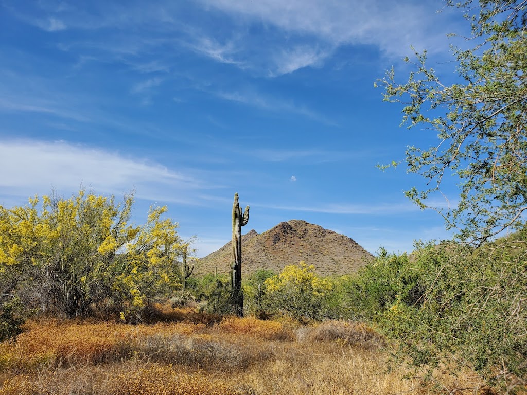 Cave Creek Regional Park Campgrounds | E Olivine Ave, Cave Creek, AZ 85331, USA | Phone: (623) 465-0431