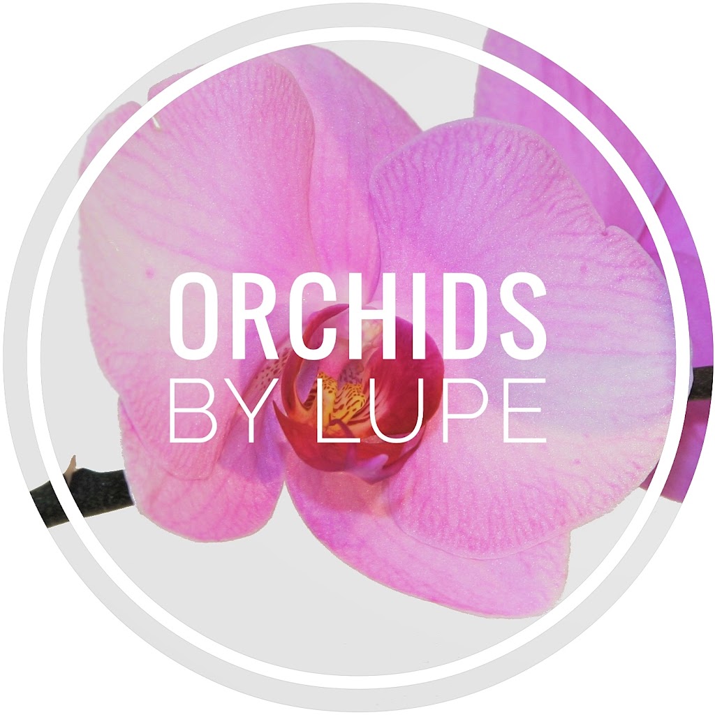 Orchids By Lupe | 8932 SW 228th Ln #1956, Miami, FL 33190, USA | Phone: (786) 385-9205