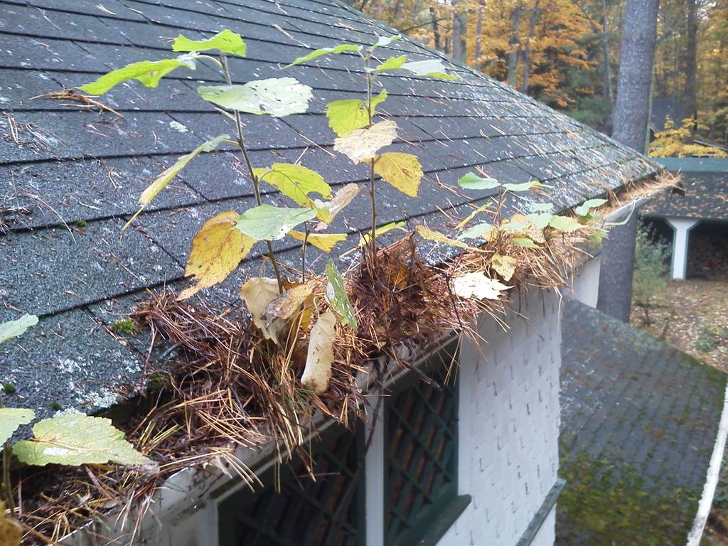 Renewal Gutters, LLC | 838 Artisan Pkwy, La Grange, KY 40031, USA | Phone: (502) 612-1475