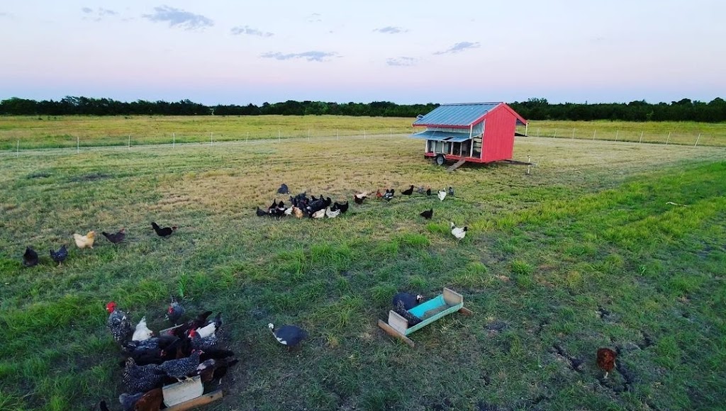 Red Coop Farms | 3661 Farm to Market Rd 271, Bonham, TX 75418, USA | Phone: (903) 209-8385