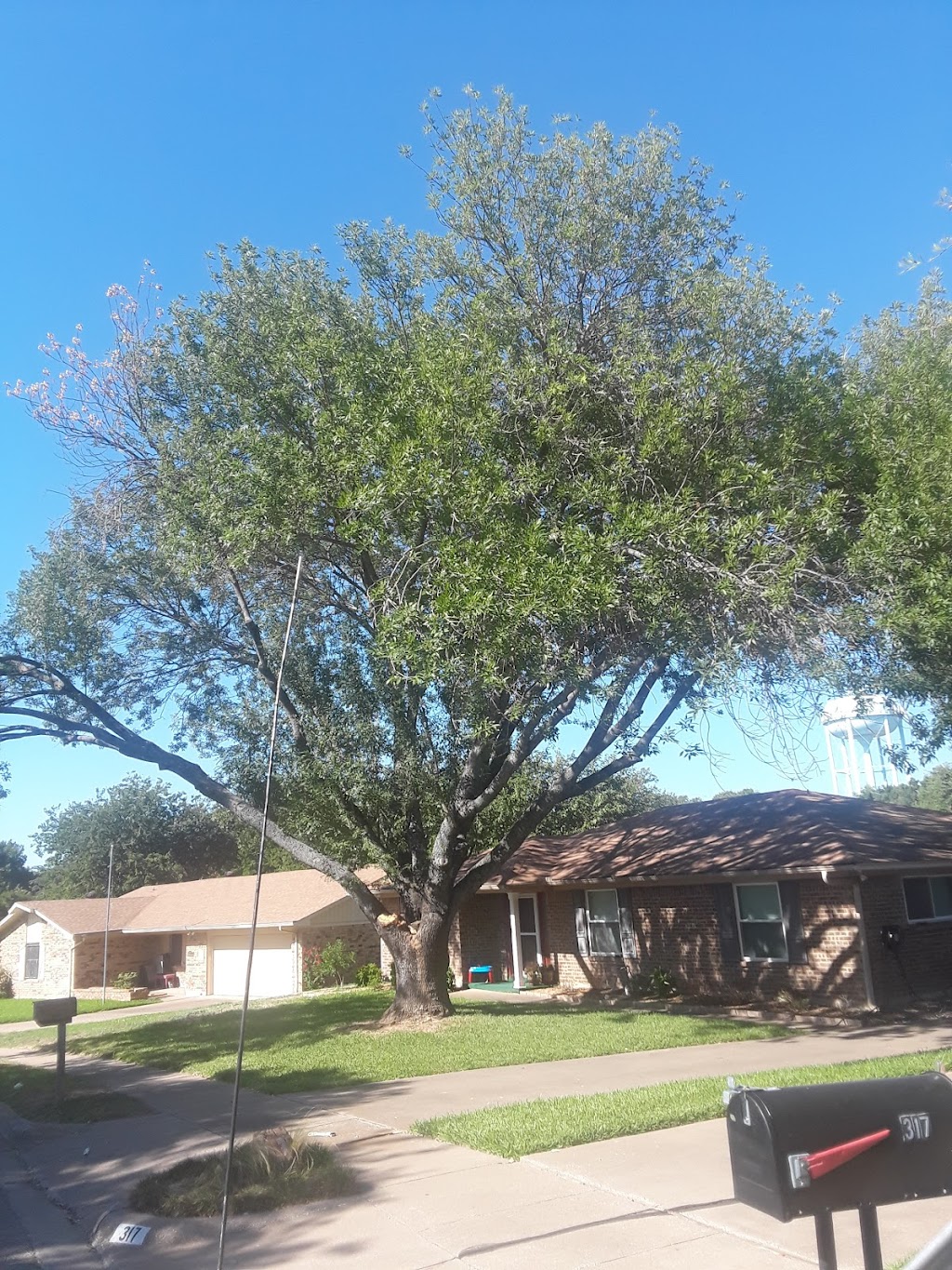 A-Affordable Tree Services | 1226 Benbrook Terrace, Fort Worth, TX 76126, USA | Phone: (800) 715-2713