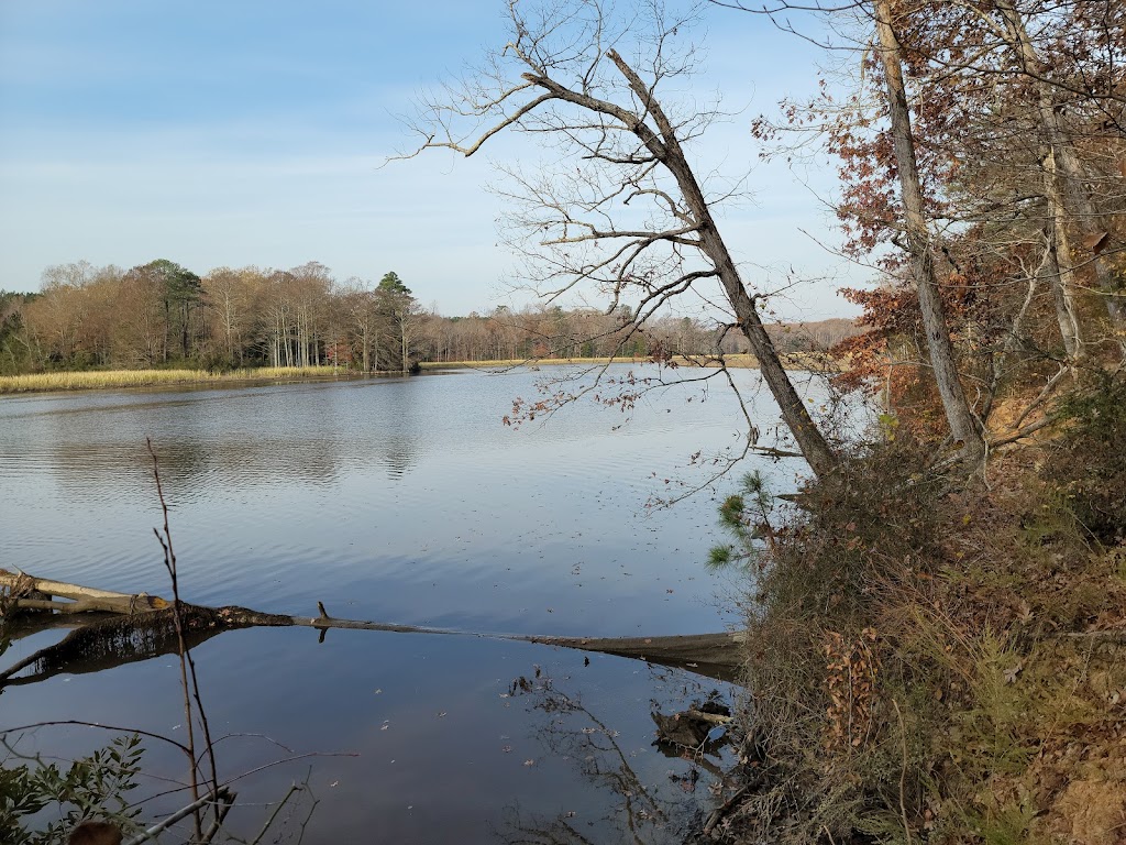 Chickahominy Wildlife Management Area | Morris Creek Landing Rd, Charles City, VA 23030, USA | Phone: (804) 367-1000